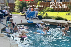 Party Of One Annual Pool Party