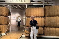 Cotton-Bales