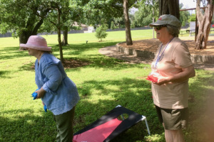 Safari Picnic